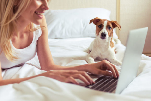 Social Networking for animals in need