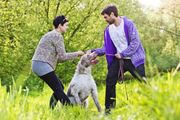 New laws for pets in divorce cases