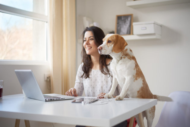 pet ownership and professional success